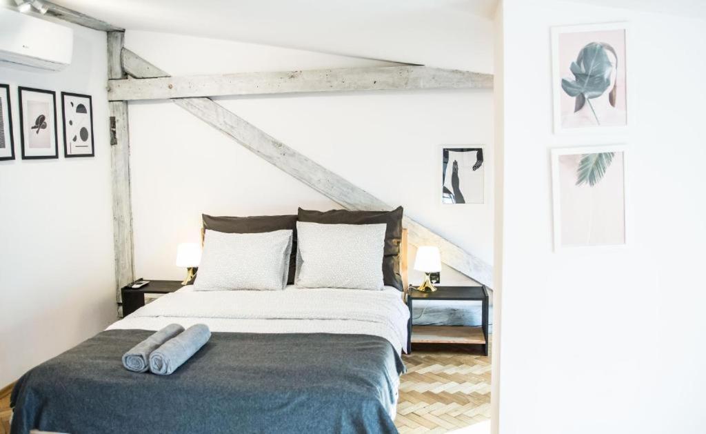 Lion Apartments - Silver Краков Экстерьер фото